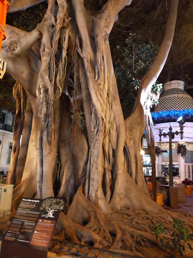 City Center Alicante - Cisneros 外观 照片